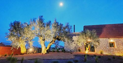 Fatima Casa | Casa Tosca