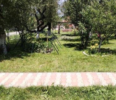 Subcetate Casa | Casa traditionala Subcetate