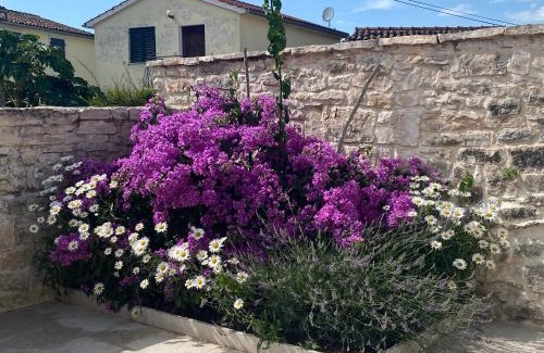 Rovinjsko Selo Casa | Casa Tratinella
