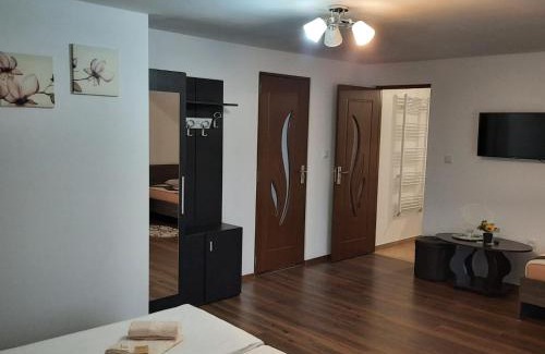 Toplita Casa | Casa Truța