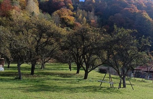Moieciu de Jos Casa | Casa Tudor și Eva
