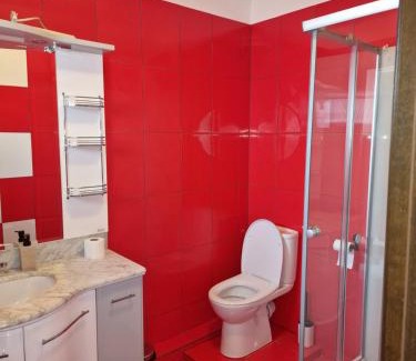 Selimbar Casa | Casa Tudor