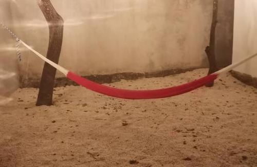 Mérida Casa | Casa Turquesa enfrente de parque