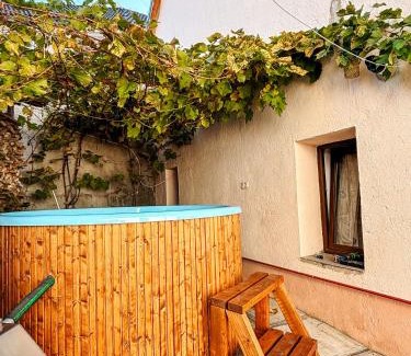 Sadu Casa | Casa Ursului - Rustic house in traditional village