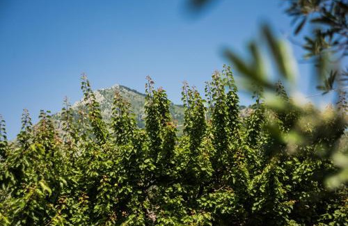 Cirignano Casa | Casa Vacanza Dal Cavaliere