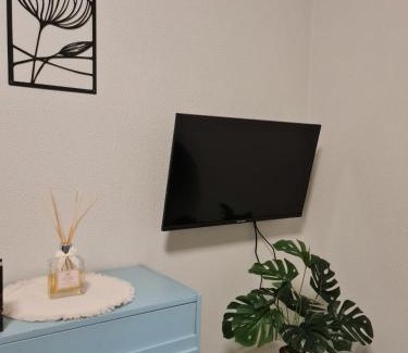 Nichelino Casa | casa vacanza il tulipano