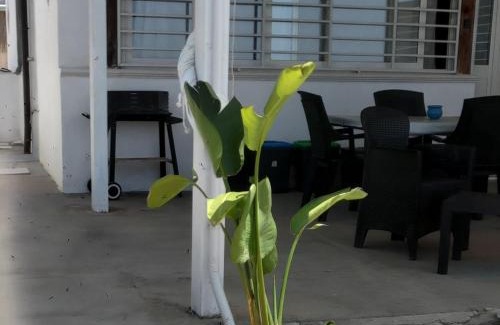 Realmonte Casa | Casa vacanze Abbacari