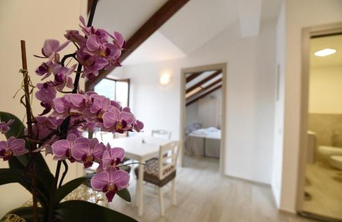 Bomerano Apartamento | Casa Vacanze Andromeda
