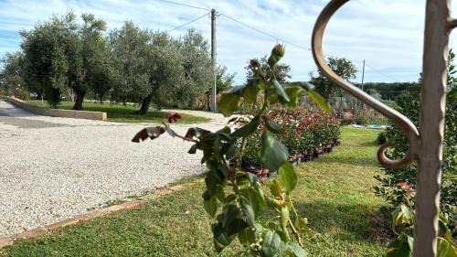 Miglianico Apartamento | Casa Vacanze Cerreto 1