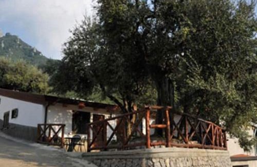 Pucara Apartamento | Casa Vacanze Dalisa Ulivo A con parcheggio