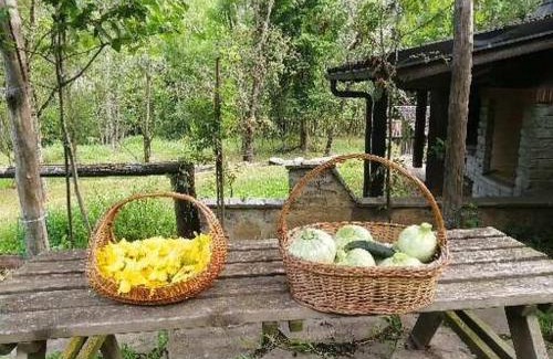 Macra Casa | Casa vacanze le ortensie