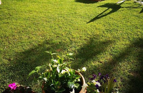 Brunate Casa | Casa Vacanze Le Violette