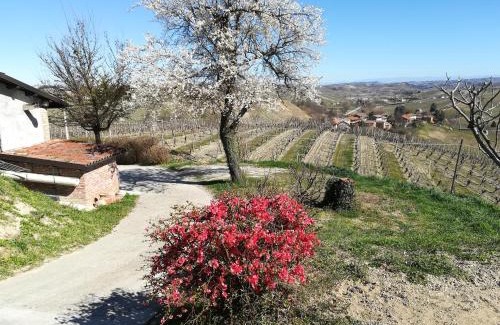 Agliano Terme Casa | Casa Vacanze Sweet Dreams