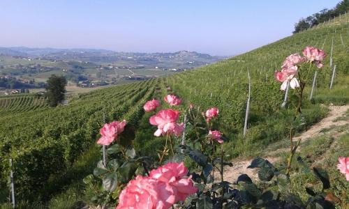 Agliano Terme Casa | Casa Vacanze Sweet Dreams