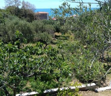 Marina di Pisciotta Casa | CASA VACANZE THALIA - PISCIOTTA/PALINURO