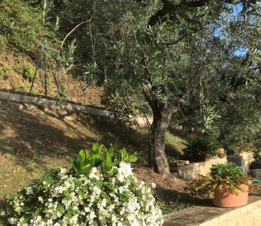 Montefalco Casa | Casa Vacanze Vecciano