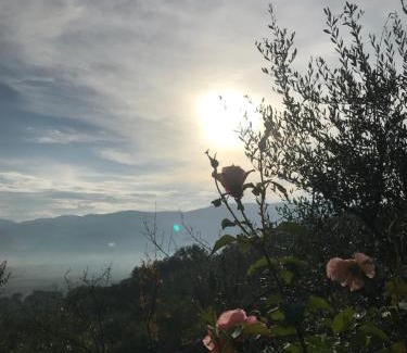 Montefalco Casa | Casa Vacanze Vecciano