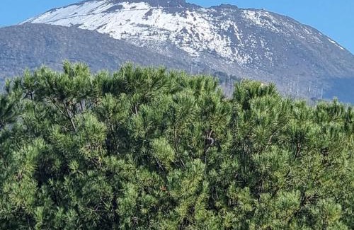 Ercolano Apartamento | Casa vacanze VesuviusView