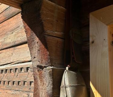 Degen Casa | Casa Vanellus/Vignogn/Val Lumnezia/near Laax