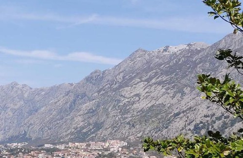 Skaljari Casa | Casa Vecchia