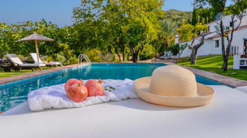 Gaucín Villa | Casa Ventorro del Herrero Gaucin by Ruralidays