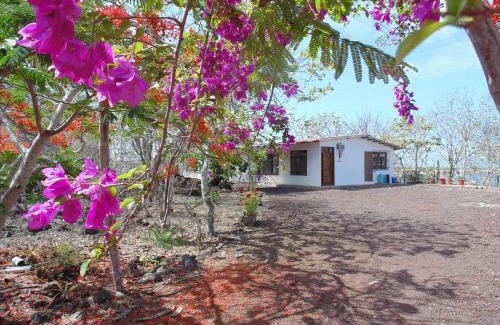 Puerto Baquerizo Moreno Casa | Casa Verde Vacation Garden Home