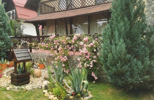 Bran Villa | Casa Veveritelor