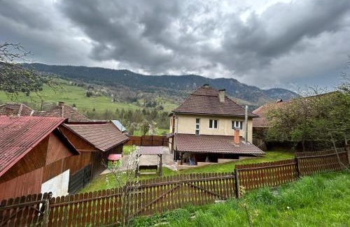 Vidra Casa | Casa Vidra
