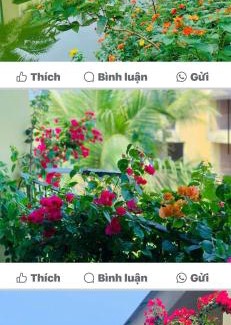Cam Ha Apartamento | Casa Villa Hoi An - View sông lãng mạn, hồ bơi riêng