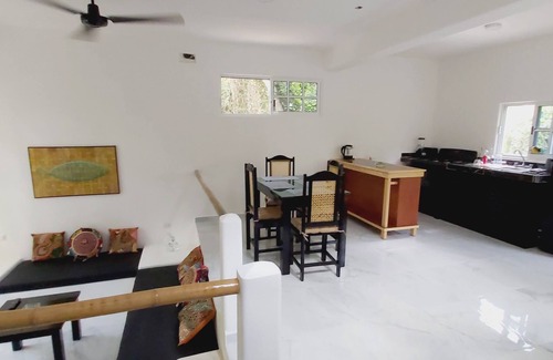 Cozumel Villa | CASA XOLA BIRDWATCHING AND CENOTE LOFT LUXURY IN THE JUNGLE. 5 min from reefs!