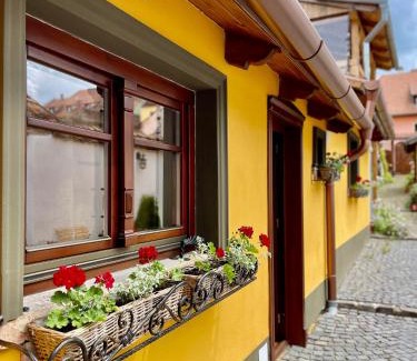 Sighisoara Casa | Casa Zatler 1#