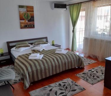 Calimanesti Chalet De Esquí | Casa Zoe Seaca