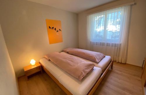 Savognin Apartamento | Casa Zundregn - ein Bijou mit privater Terrasse und E-Mobility