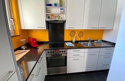 Savognin Apartamento | Casa Zundregn - ein Bijou mit privater Terrasse und E-Mobility
