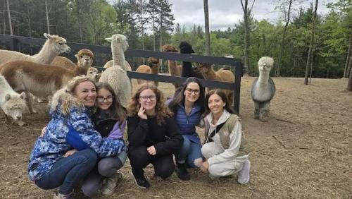 Wisconsin Dells Hotel | Casacampo Alpaca Ranch