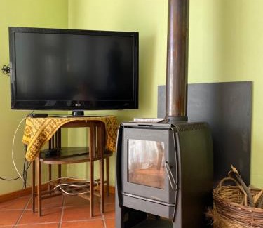 Vicuna Casa | Casaelqui