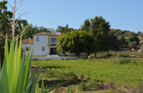 Setubal Cabaña | Casal dos Cantos Poente