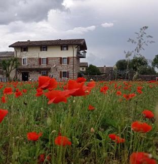 Cussignacco Casa | CASAL MICELIO