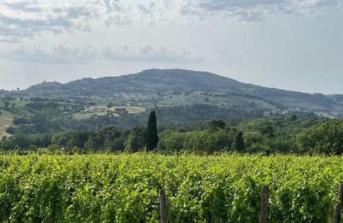 Massa Martana Casa | Casale Armonia