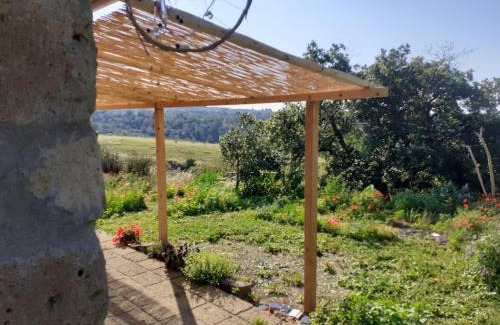 Cellere Casa | Casale Gatta Morena