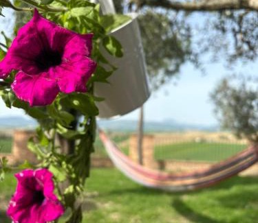 Filottrano Casa | Casale Monte Amato