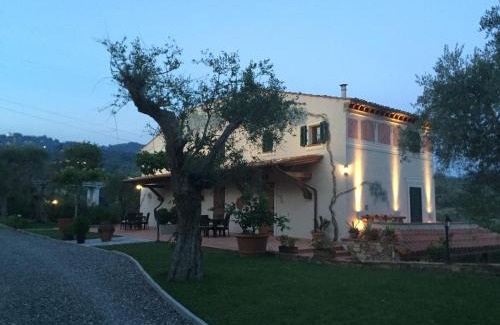 Massarosa Apartamento | Casale Olea