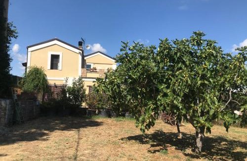 Collecorvino Apartamento | Casale Vincenzo Country House