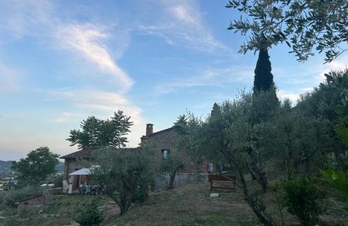 Castiglion Fiorentino Casa | Casale21