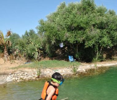 Jerez de la Frontera Casa | Casaleja, entre árboles y agua