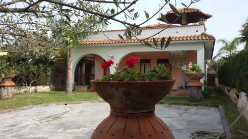 Agnone Casa | Casammare