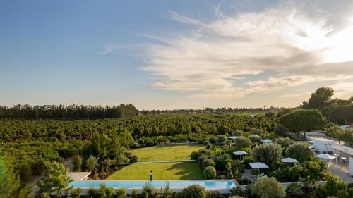 Quinta da Ria Casa | Casas da Quinta de Cima