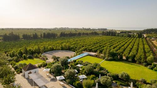 Quinta da Ria Casa | Casas da Quinta de Cima