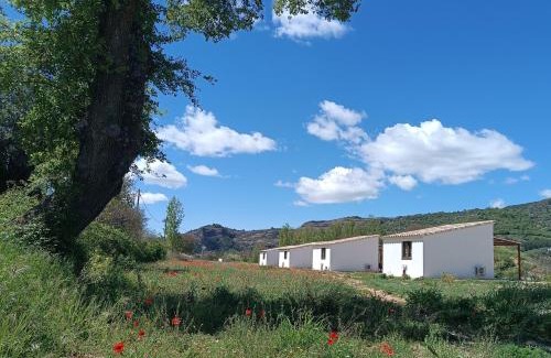 Las Ventas de Santa Lucía Apartamento | Casas Natura Suites - Finca Rural