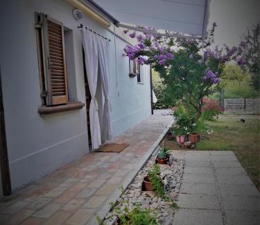 San Giovanni In Marignano Cama Y Desayuno | CasaVittorio
